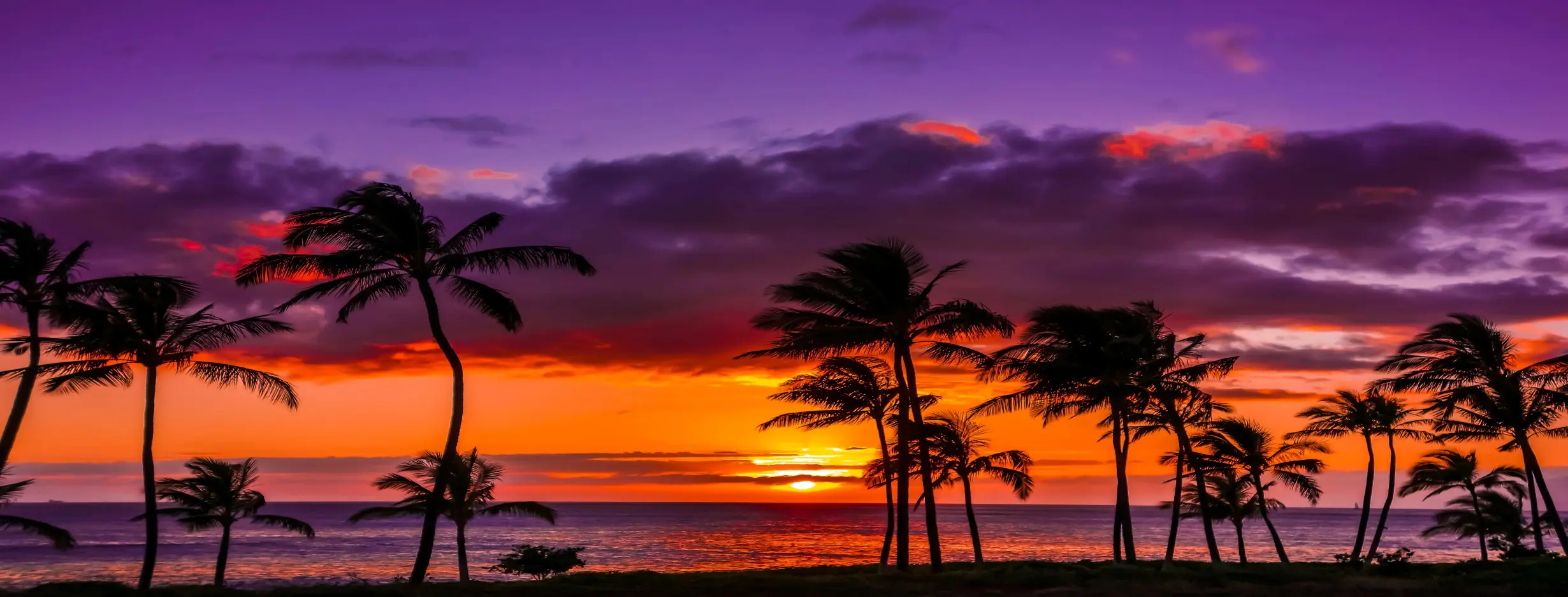 Image for Sunset Vibes